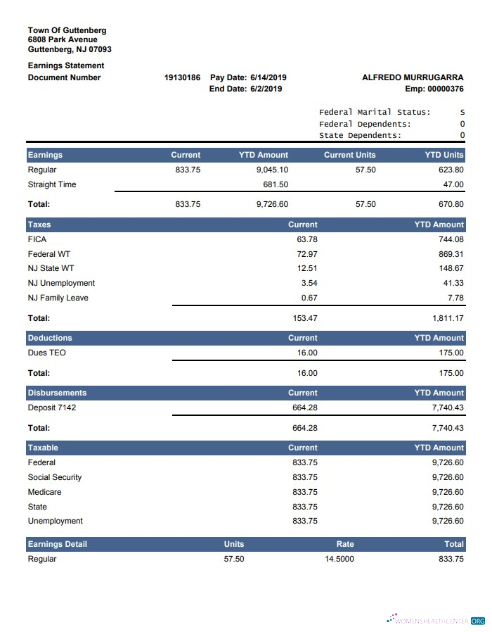 Download Current YTD Amount earnings statement Photoshop template